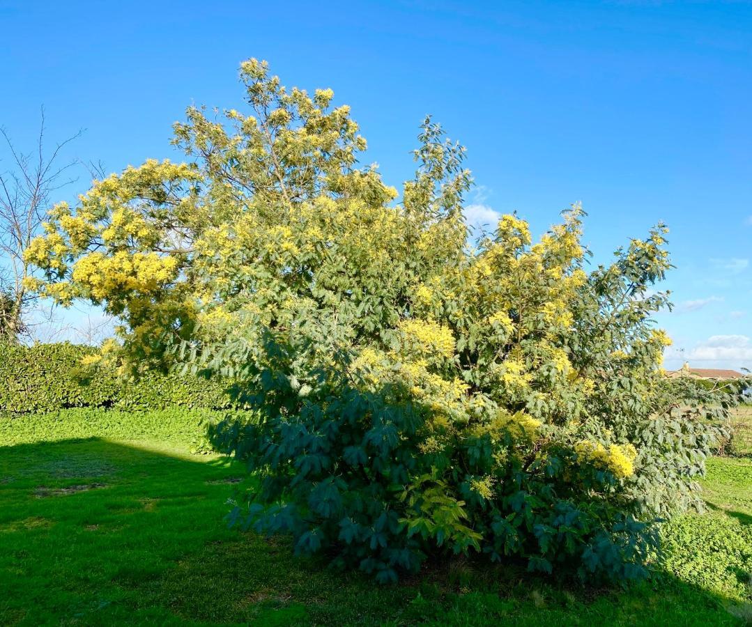 Comme Une Evidence Gite Et Chambres D'Hotes Saint-Vincent-sur-Jard Εξωτερικό φωτογραφία